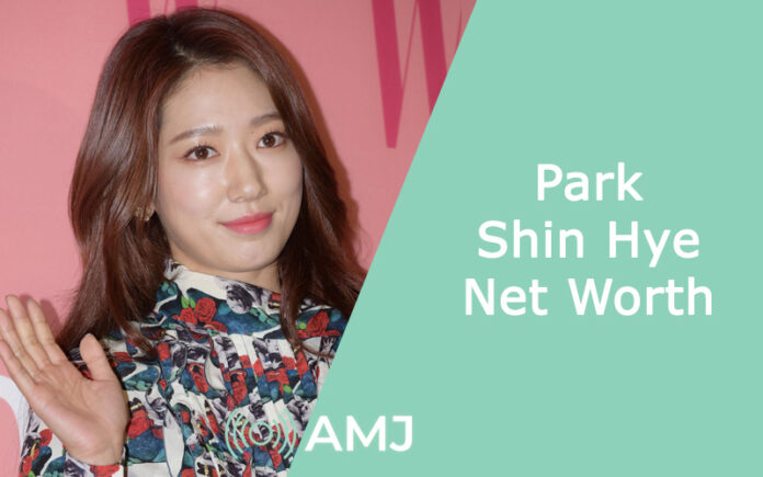 Park Shin Hye Net Worth
