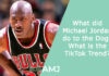What did Michael Jordan do to the Dog - What is the TikTok Trend