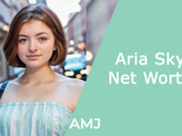 Aria Sky Net Worth
