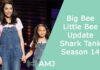 Big Bee Little Bee Update | Shark Tank Season 14