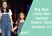 Big Bee Little Bee Update | Shark Tank Season 14