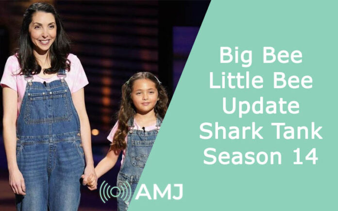 Big Bee Little Bee Update | Shark Tank Season 14