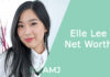 Elle Lee Net Worth