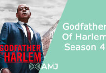 Godfather Of Harlem Season 4
