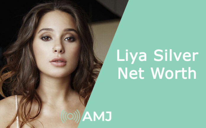 Liya Silver Net Worth