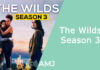 The Wilds Season 3: An Axed Ending? The Wilds Season 3