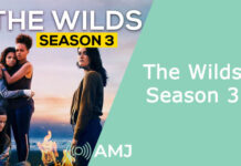The Wilds Season 3: An Axed Ending? The Wilds Season 3