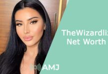 TheWizardliz Net Worth