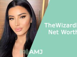 TheWizardliz Net Worth