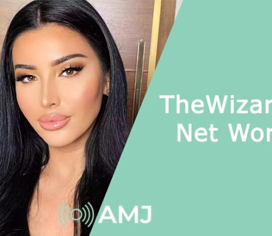 TheWizardliz Net Worth