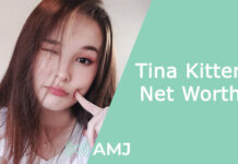 Tina Kitten Net Worth 2024 – Breaking Down the Wealth of the South Korean Streamer Tina Kitten Net Worth