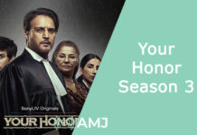 Your Honor Season 3