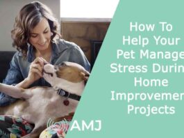 How To Help Your Pet Manage Stress During Home Improvement Projects