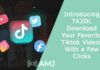 Introducing TK2DL: Download Your Favorite Tiktok Videos With a Few Clicks