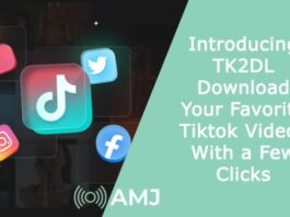 Introducing TK2DL: Download Your Favorite Tiktok Videos With a Few Clicks