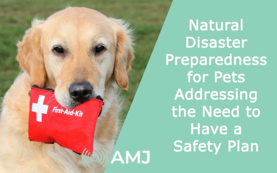 Natural Disaster Preparedness for Pets: Addressing the Need to Have a Safety Plan