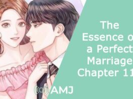 The Essence of a Perfect Marriage Chapter 111