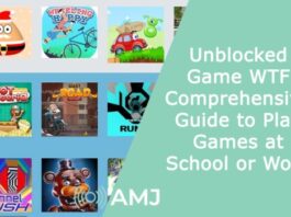 Unblocked Game WTF: Comprehensive Guide to Play Games at School or Work