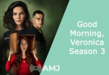 Good Morning, Veronica Season 3