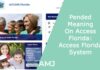 Pended Meaning On Access Florida: Access Florida System