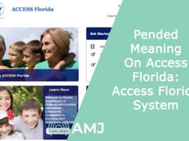 Pended Meaning On Access Florida: Access Florida System