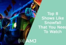 Top 8 Shows Like Snowfall That You Need To Watch