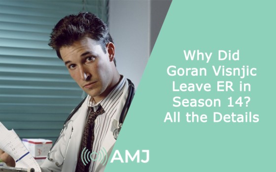 Why Did Goran Visnjic Leave ER in Season 14? All the Details