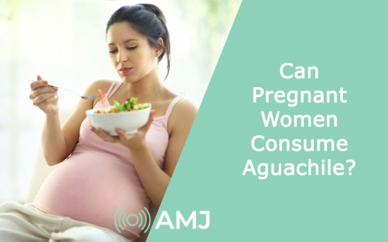 Can Pregnant Women Consume Aguachile?
