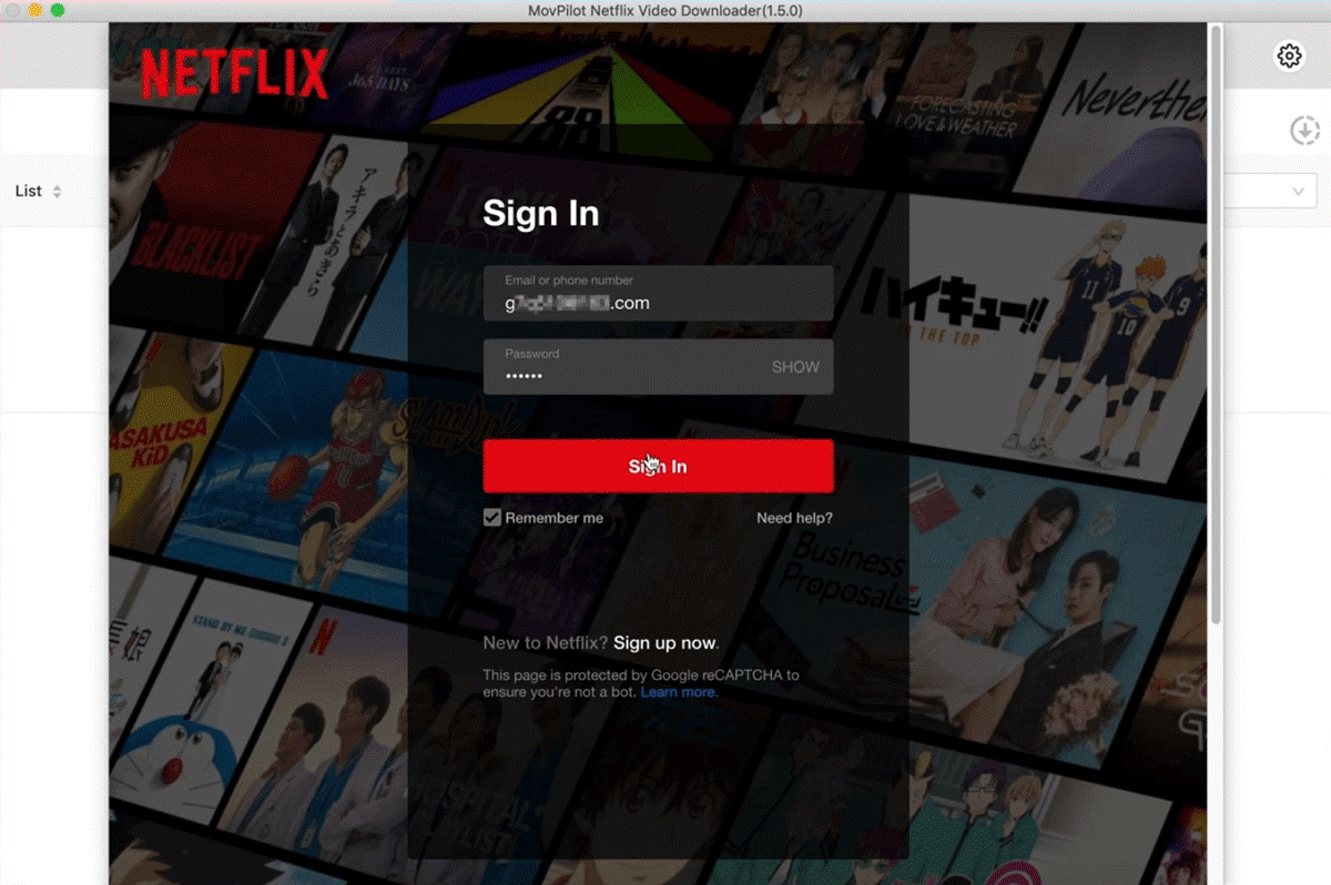 Log in to your Netflix account 