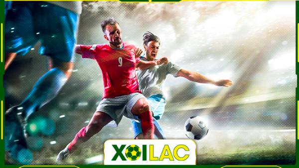 Why is XoilacTV Reigns Supreme as the Premier Live Football Destination?