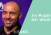 Joe Rogan Net Worth