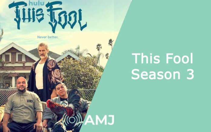 This Fool Season 3