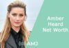 Amber Heard Net Worth
