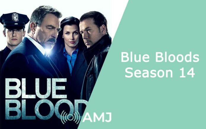 Blue Bloods Season 14