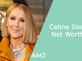 Celine Dion Net Worth