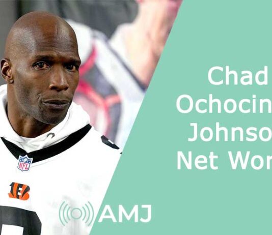 Chad Ochocinco Johnson Net Worth