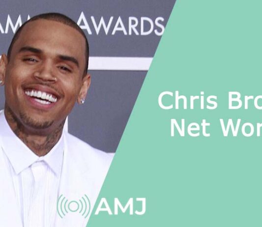 Chris Brown Net Worth