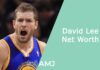 David Lee Net Worth