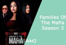 Families Of The Mafia Season 3