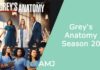 Grey's Anatomy Season 20