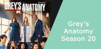 Grey's Anatomy Season 20