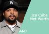 Ice Cube Net Worth