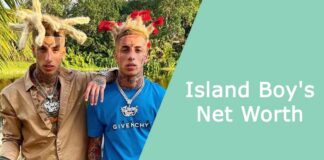 Island Boy's Net Worth