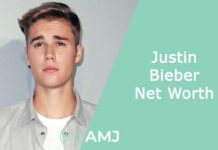 Justin Bieber's Net Worth