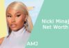 Nicki Minaj Net Worth