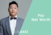 Psy Net Worth