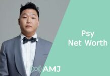 Psy Net Worth