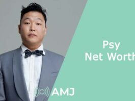 Psy Net Worth