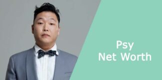 Psy Net Worth