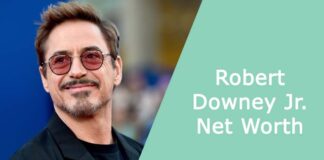 Robert Downey Jr. Net Worth